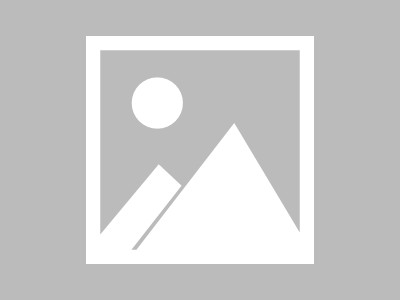 包含Scout迎来十赛季高光表现，DWG球迷沸腾！的词条官方网站